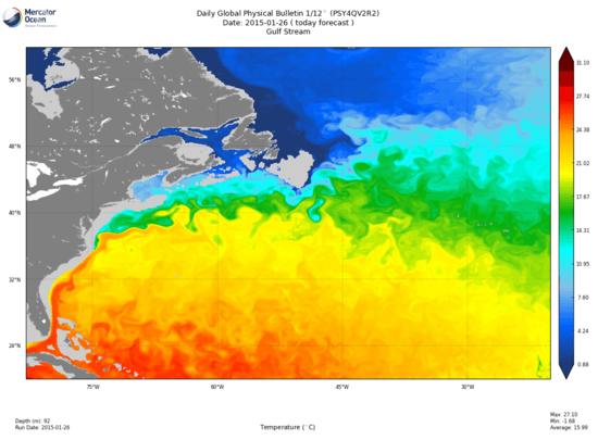 Gulf stream & eddies at 92m depth (about 300 ft. deep). The water is extraordinarily warm.